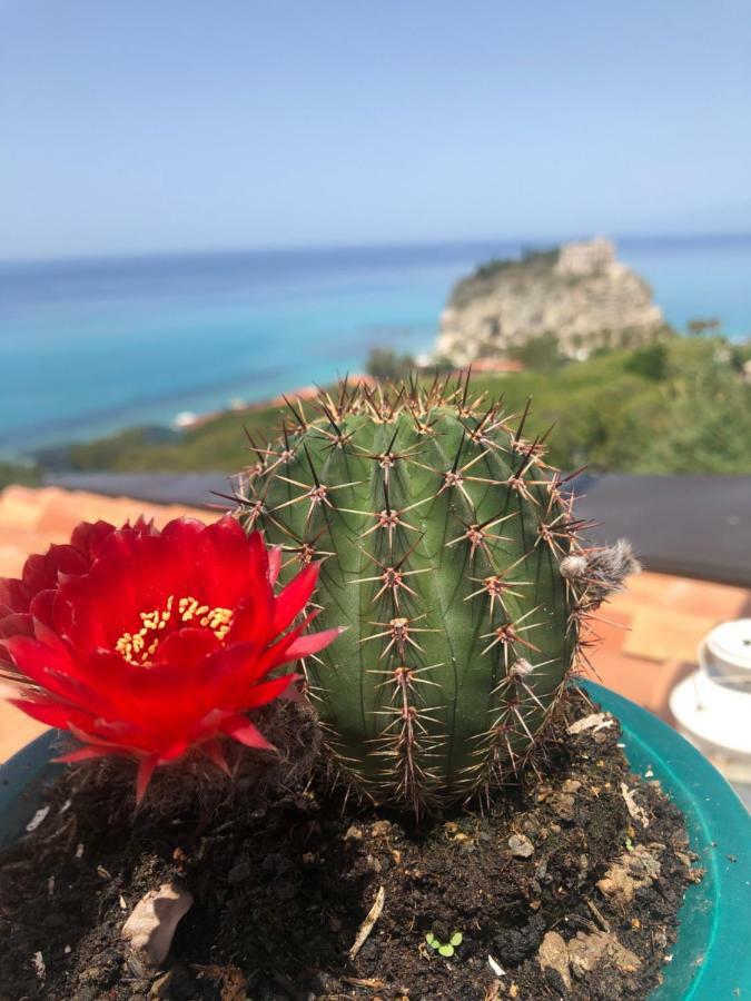 Apartamento La Mesonette A Due Passi Dal Mare Tropea Exterior foto